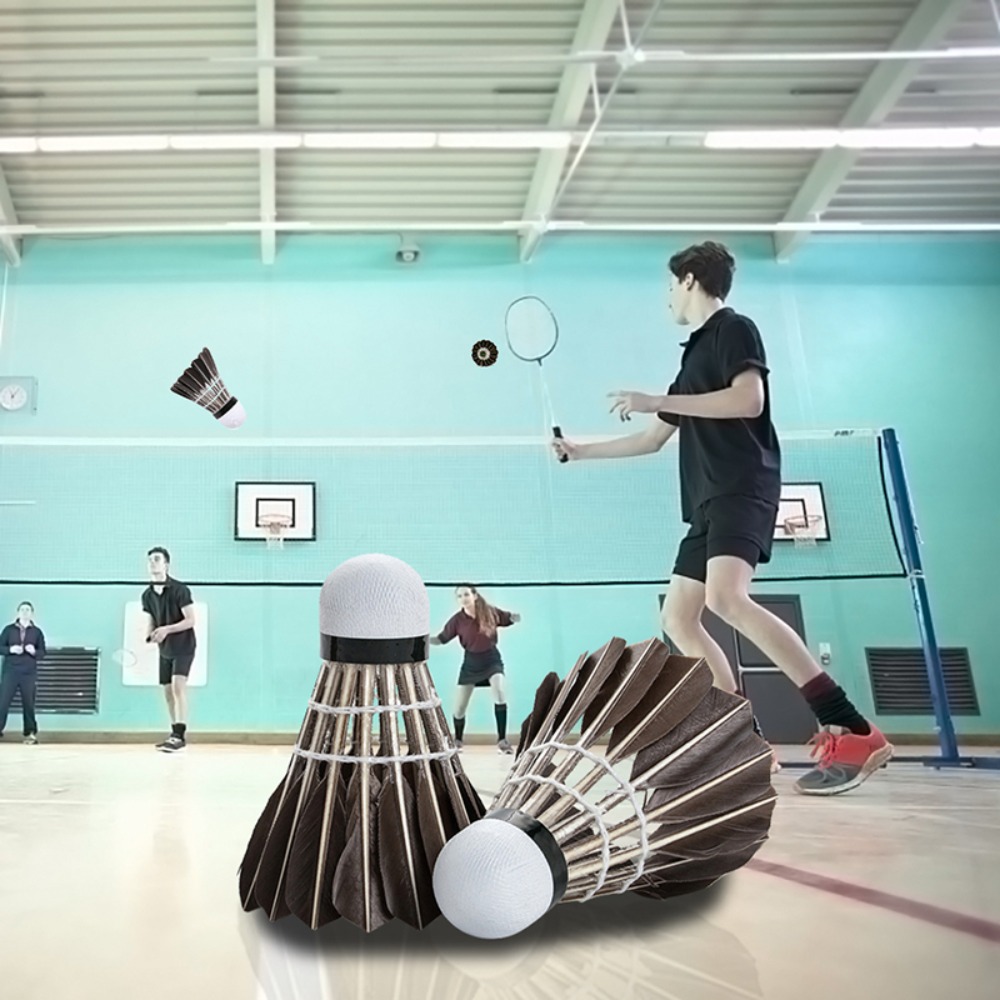 3/6/12Pcs Household Sport Trai - Feather Shuttlecock recension och pris