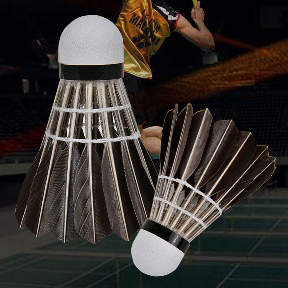 3/6/12Pcs Household Sport Trai - Feather Shuttlecock recension och pris