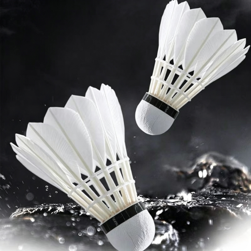 Premium Goose Feather Badminto - Feather Shuttlecock recension och pris