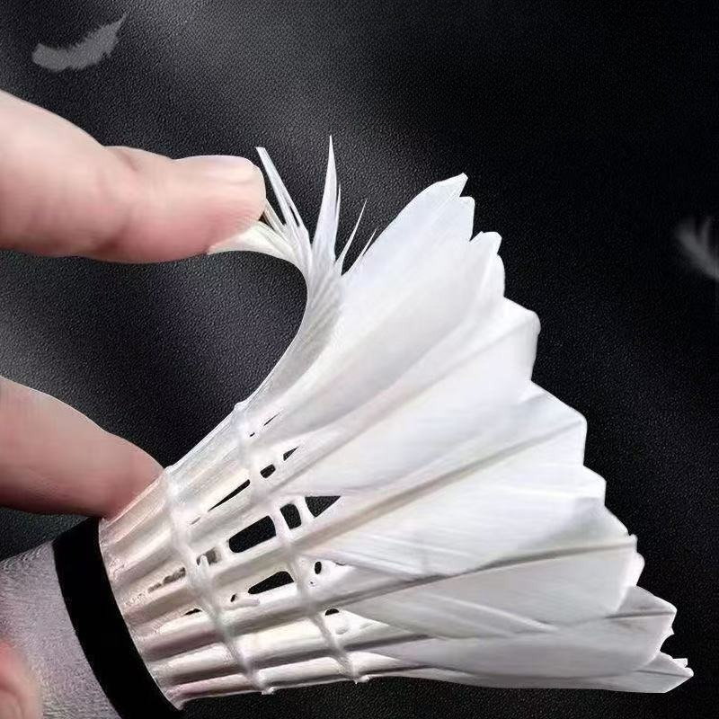 Premium Goose Feather Badminto - Feather Shuttlecock recension och pris